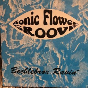 画像1: Sonic Flower Groove / Beeblebrox Ravin