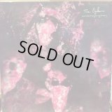 The Ogdens / She Made Everything Groovy