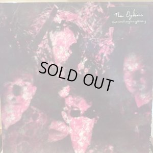 画像1: The Ogdens / She Made Everything Groovy