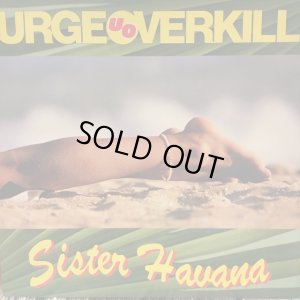 画像1: Urge Overkill / Sister Havana