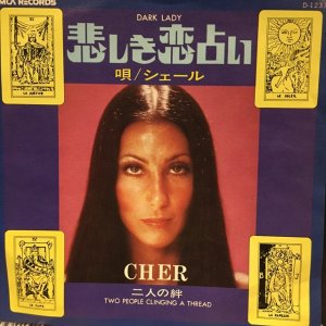 画像1: Cher / Dark Lady