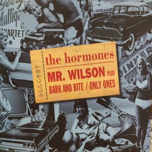 画像1: The Hormones / Mr. Wilson