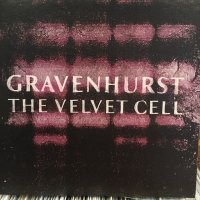 Gravehurst / The Velvet Cell