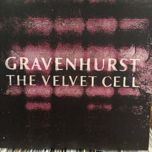 画像1: Gravehurst / The Velvet Cell