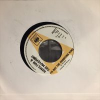 Hamilton & The Movement / I'm Not The Marrying Kind