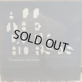 Trashcan Sinatras / All The Dark Horses