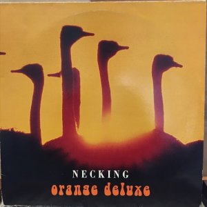 画像1: Orange Deluxe / Necking