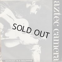 Aztec Camera / Working In A Goldmine