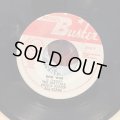 The Maytals + Prince Buster All Stars / Dog War + Little Flea