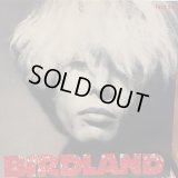 Birdland / Paradise