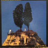Elvis Costello & The Attractions / Goodbye Cruel World