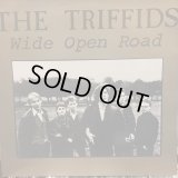 The Triffids / Wide Open Road