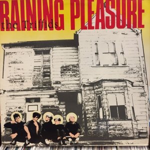 画像1: The Triffids / Raining Pleasure