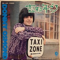 Donny Osmond / The Twelfth Of Never