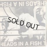 Foreheads In A Fishtank / She Loves You Yeah