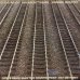 画像1: Steve Reich - Kronos Quartet - Pat Metheny / Different Trains + Electric Counterpoint (1)