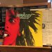 画像2: Bob Marley & The Wailers / Rastaman Vibration (2)