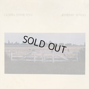 画像1: Jeremy Steig / Down Stretch