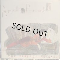 Annette Peacock / The Perfect Release