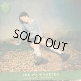 The Wannadies / Someone Somewhere