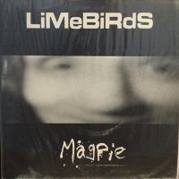 Limebirds / Magpie