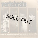 The Vertebrats / Revert