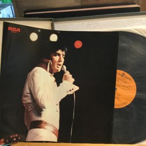 画像2: Elvis Presley / That's The Way It Is