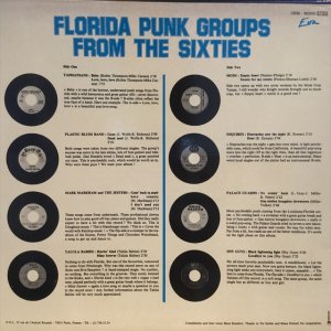 画像2: VA / Florida Punk From The Sixties