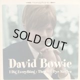 David Bowie / I Dig Everything
