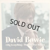 David Bowie / I Dig Everything