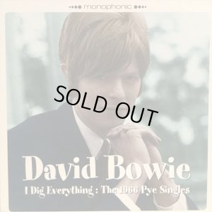 画像1: David Bowie / I Dig Everything