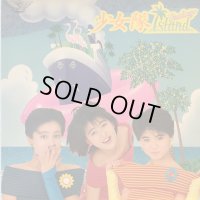 少女隊 / 少女隊フラミンゴ・アイランド