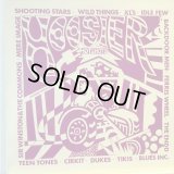 VA / Hoosier Hotshots