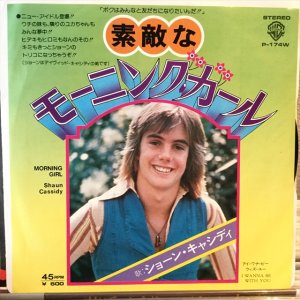 画像1: Shaun Cassidy / Morning Girl