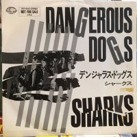 Sharks / Dangerous Dogs