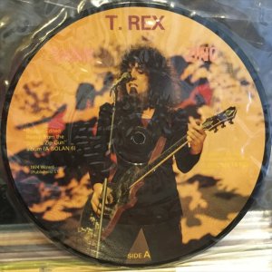 画像1: T. Rex / Think Zinc