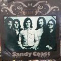 Sandy Coast / True Love That's A Wonder