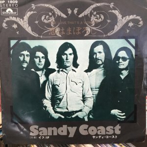 画像1: Sandy Coast / True Love That's A Wonder