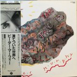 Peter Murphy / Should The World Fail To Fall Apart