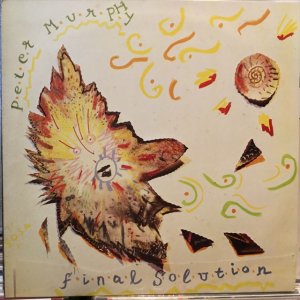 画像1: Peter Murphy / Final Solution