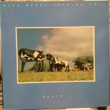 David J / Blue Moods Turning Tail