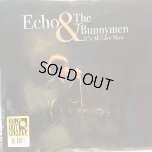 画像1: Echo & The Bunnymen / It's All Live Now