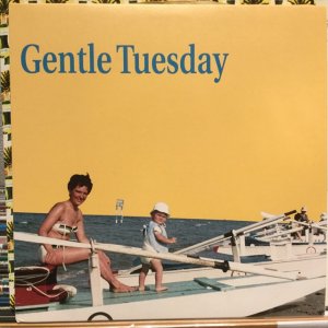 画像1: Gentle Tuesday / I've Never Been So Poorly Insulted In All My Life