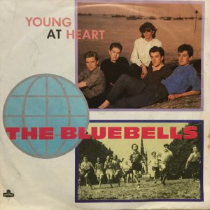 画像1: The Bluebells / Young At Heart