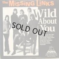 The Missing Links / Wild About You