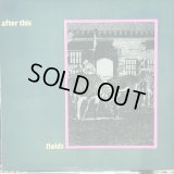 After This / Fields