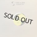 Ijahman Levi / I Am A Levi 