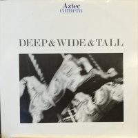 Aztec Camera / Deep & Wide & Tall