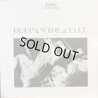 Aztec Camera / Deep & Wide & Tall