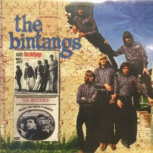 画像1: The Bintangs / The Bintangs